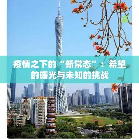 第2450页
