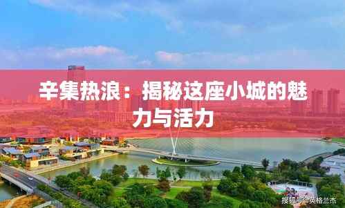 辛集热浪:揭秘这座小城的魅力与活力