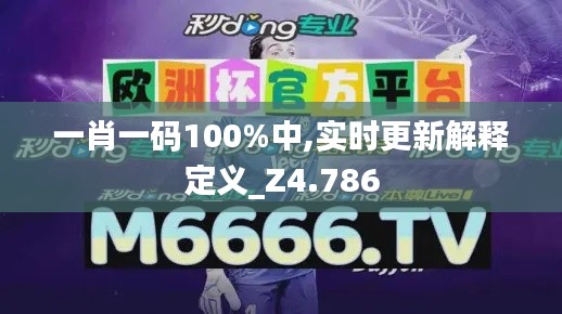 一肖一码100%中,实时更新解释定义_Z4.786