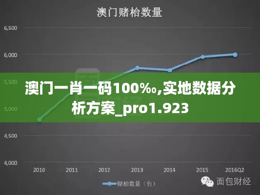 澳门一肖一码100‰,实地数据分析方案_pro1.923
