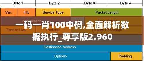 一码一肖100中码,全面解析数据执行_尊享版2.960