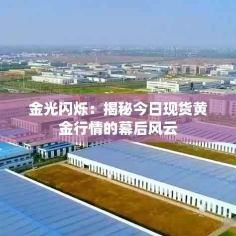 金光闪烁:揭秘今日现货黄金行情的幕后风云