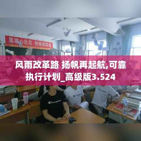 风雨改革路 扬帆再起航,可靠执行计划_高级版3.524