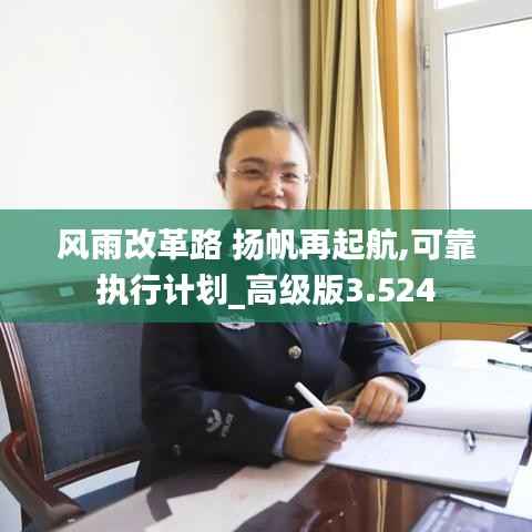风雨改革路 扬帆再起航,可靠执行计划_高级版3.524