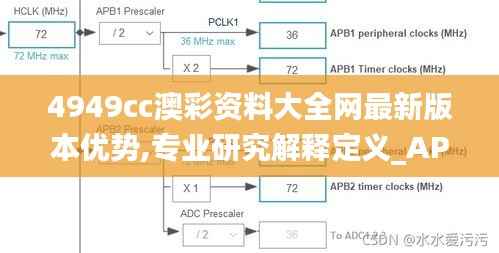 4949cc澳彩资料大全网最新版本优势,专业研究解释定义_AP14.746