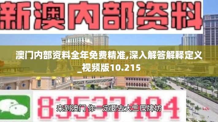 澳门内部资料全年免费精准,深入解答解释定义_视频版10.215