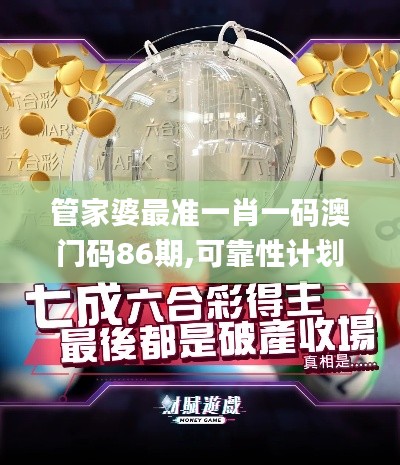 管家婆最准一肖一码澳门码86期,可靠性计划解析_挑战版6.484