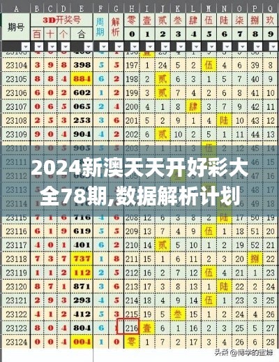 2024新澳天天开好彩大全78期,数据解析计划导向_专业款13.234