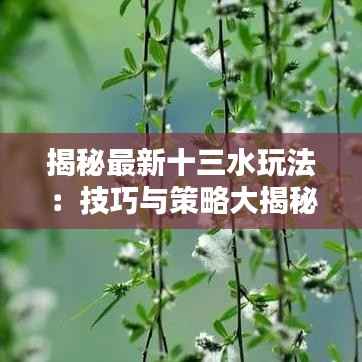 揭秘最新十三水玩法:技巧与策略大揭秘