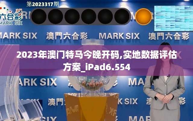 2023年澳门特马今晚开码,实地数据评估方案_iPad6.554