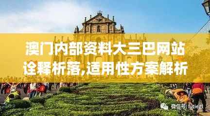 澳门内部资料大三巴网站诠释析落,适用性方案解析_战略版8.336