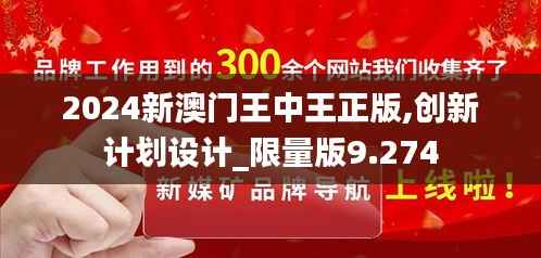 2024新澳门王中王正版,创新计划设计_限量版9.274