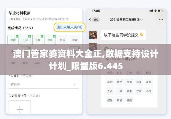 澳门管家婆资料大全正,数据支持设计计划_限量版6.445