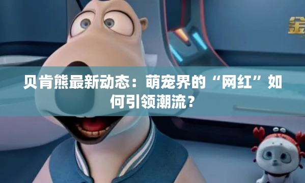 贝肯熊最新动态:萌宠界的“网红”如何引领潮流?