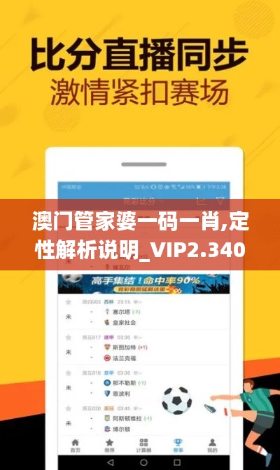 澳门管家婆一码一肖,定性解析说明_VIP2.340