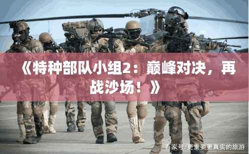 《特种部队小组2：巅峰对决，再战沙场！》