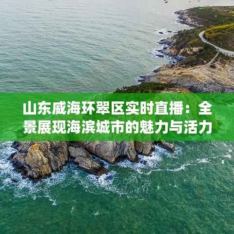 山东威海环翠区实时直播:全景展现海滨城市的魅力与活力