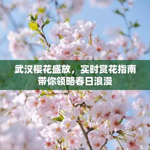 举世无双 第3页