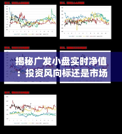 揭秘广发小盘实时净值:投资风向标还是市场波动?
