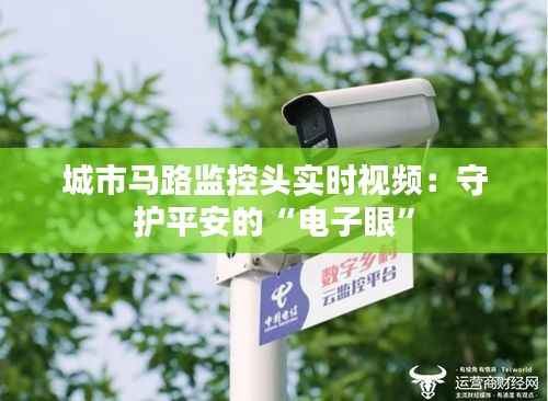 城市马路监控头实时视频:守护平安的“电子眼”