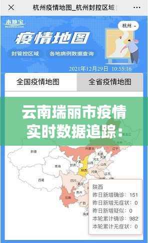 云南瑞丽市疫情实时数据追踪：战“疫”一线的坚守与希望