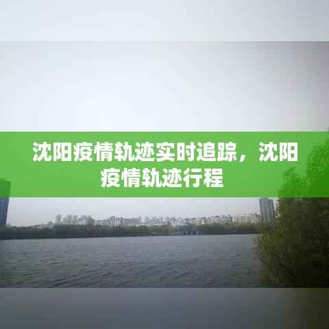 沈阳疫情轨迹实时追踪，沈阳疫情轨迹行程 