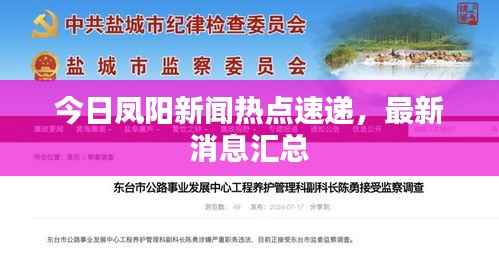 今日凤阳新闻热点速递，最新消息汇总