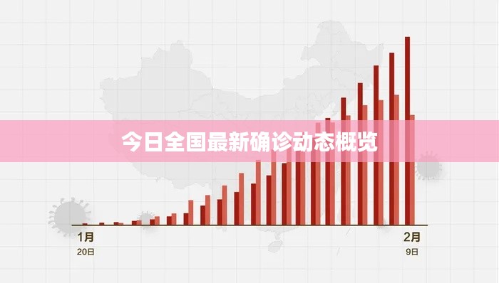 今日全国最新确诊动态概览