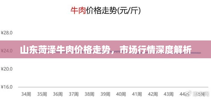 山东菏泽牛肉价格走势,市场行情深度解析