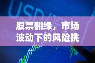 股票翻绿，市场波动下的风险挑战如何应对？