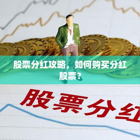 股票分红攻略,如何购买分红股票?