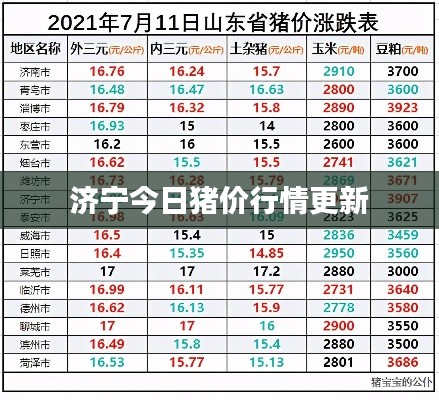 济宁今日猪价行情更新