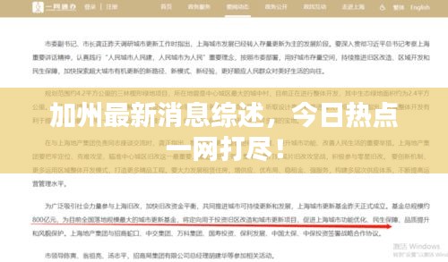 加州最新消息综述,今日热点一网打尽!