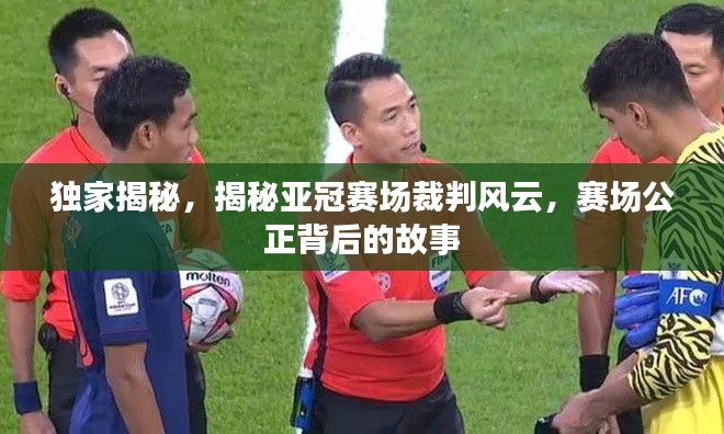 独家揭秘,揭秘亚冠赛场裁判风云,赛场公正背后的故事