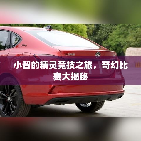 小智的精灵竞技之旅,奇幻比赛大揭秘