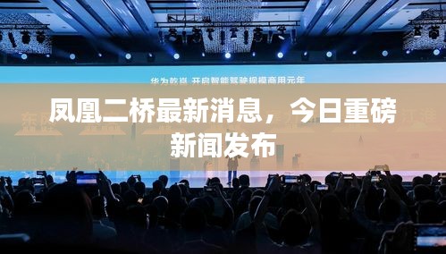 凤凰二桥最新消息,今日重磅新闻发布