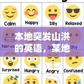 本地突发山洪的英语,某地遭遇了洪水袭击 英文