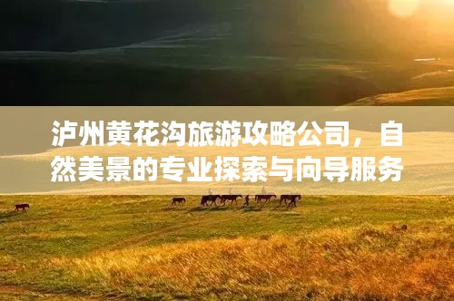 泸州黄花沟旅游攻略公司,自然美景的专业探索与向导服务