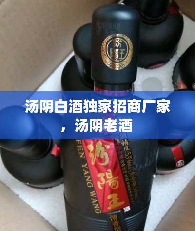 汤阴白酒独家招商厂家,汤阴老酒