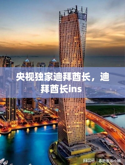 央视独家迪拜酋长,迪拜酋长ins