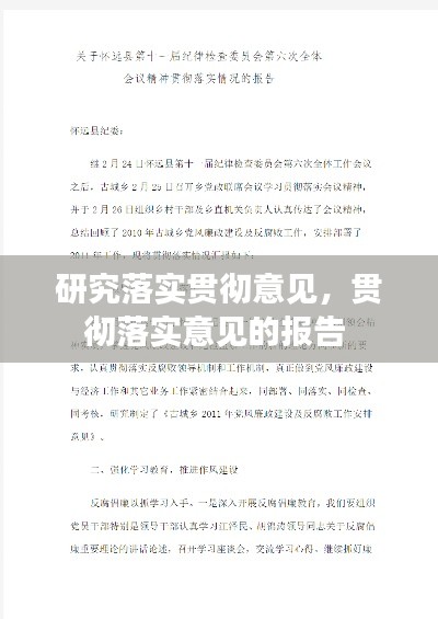研究落实贯彻意见,贯彻落实意见的报告