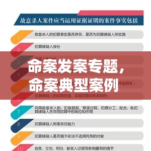 命案发案专题,命案典型案例