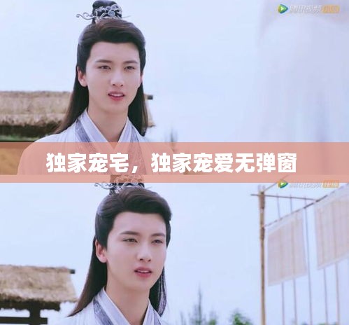 独家宠宅，独家宠爱无弹窗 