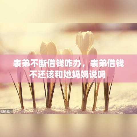 表弟不断借钱咋办,表弟借钱不还该和她妈妈说吗