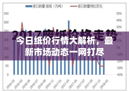 今日纸价行情大解析,最新市场动态一网打尽